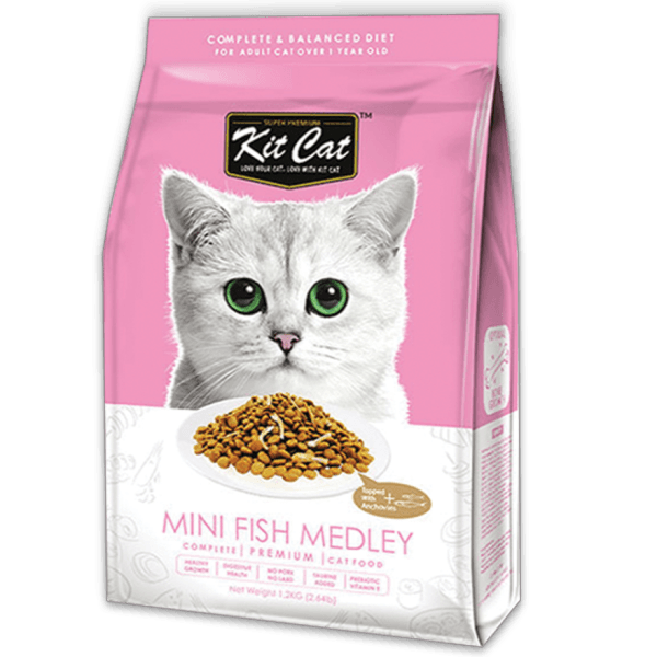 ចំណីសំរាប់ឆ្មាមានកូន-Kit Cat