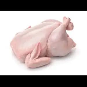 Chicken Hen - Rithy 1 Supply