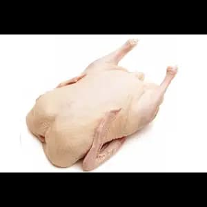 Duck Kapa - Rithy 1 Supply