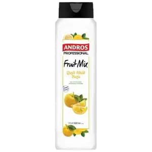 Mango Fruit Mix - Andros