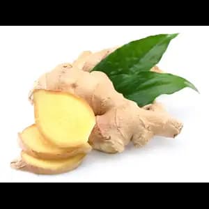 Ginger