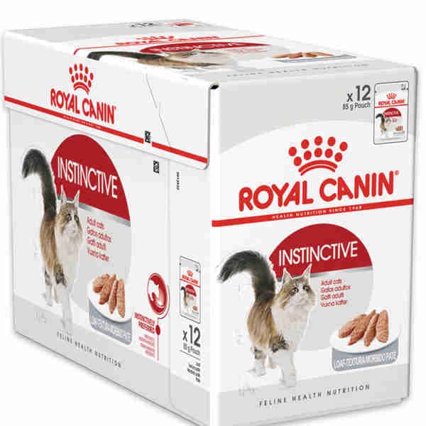 Instinctive Thin Slices in Gravy Pouch Box