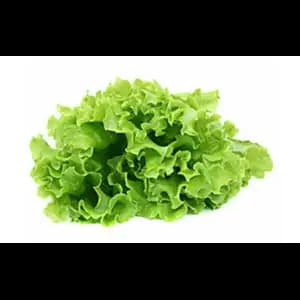 Khmer Lettuce - Khmer Organic