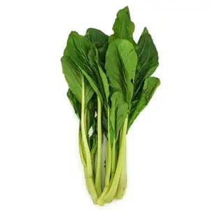 Chinese Choy Sum - Khmer Organic