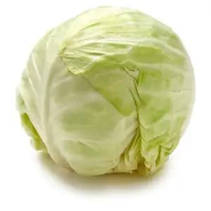 Cabbage - Khmer Organic