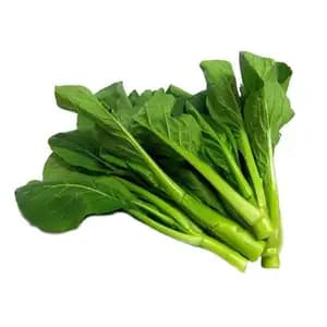 Chinese Kale - Khmer Organic