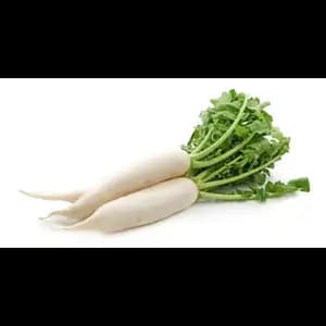 Chinese Radish - Khmer Organic