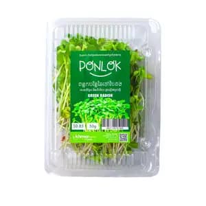 Micogreen Green Radish - Khmer Organic