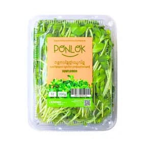 Micogreen Sunflower - Khmer Organic