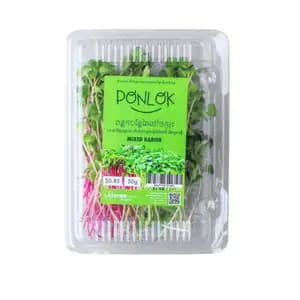 Micogreen Mixed Radish - Khmer Organic