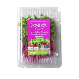 Micogreen Red Radish - Khmer Organic