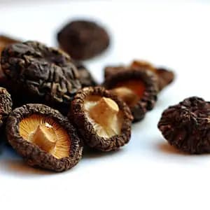 Dry Mushroom