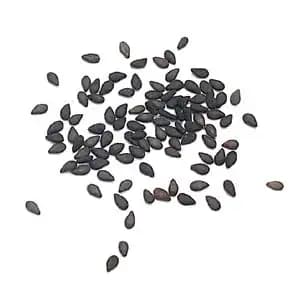 Black Sesame