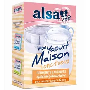 Homemade Creamy Yogurt - Alsa
