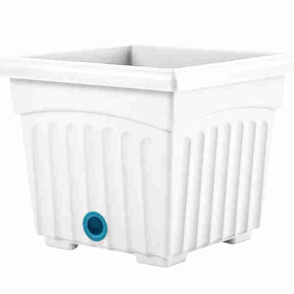 Biodegradable Square Planter Pot ( White)