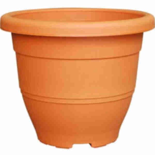 Biodegradable Elegant Series Flower Pot (Cotta)
