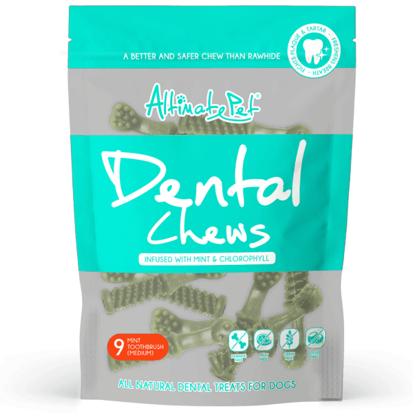 Dental Chews Mint Chlorophyl Toothbrush