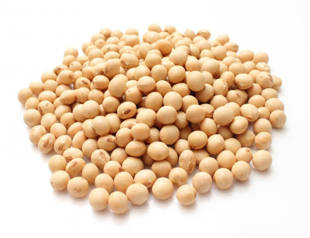 Dry Soja Bean