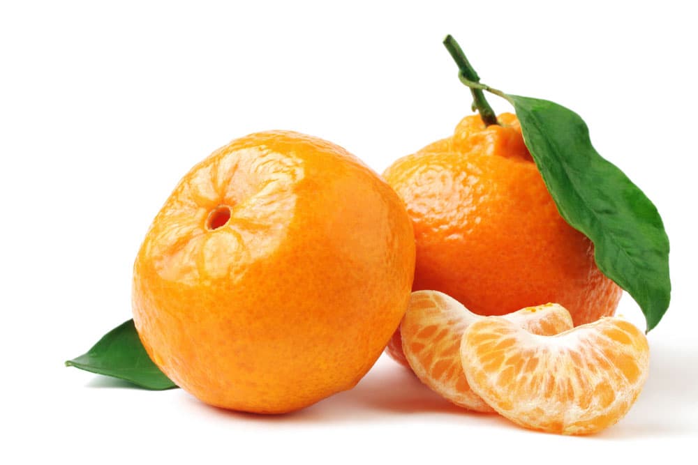 Tangerine Orange (Small Size)