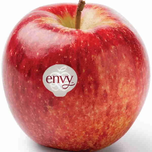 Apple Envy Big