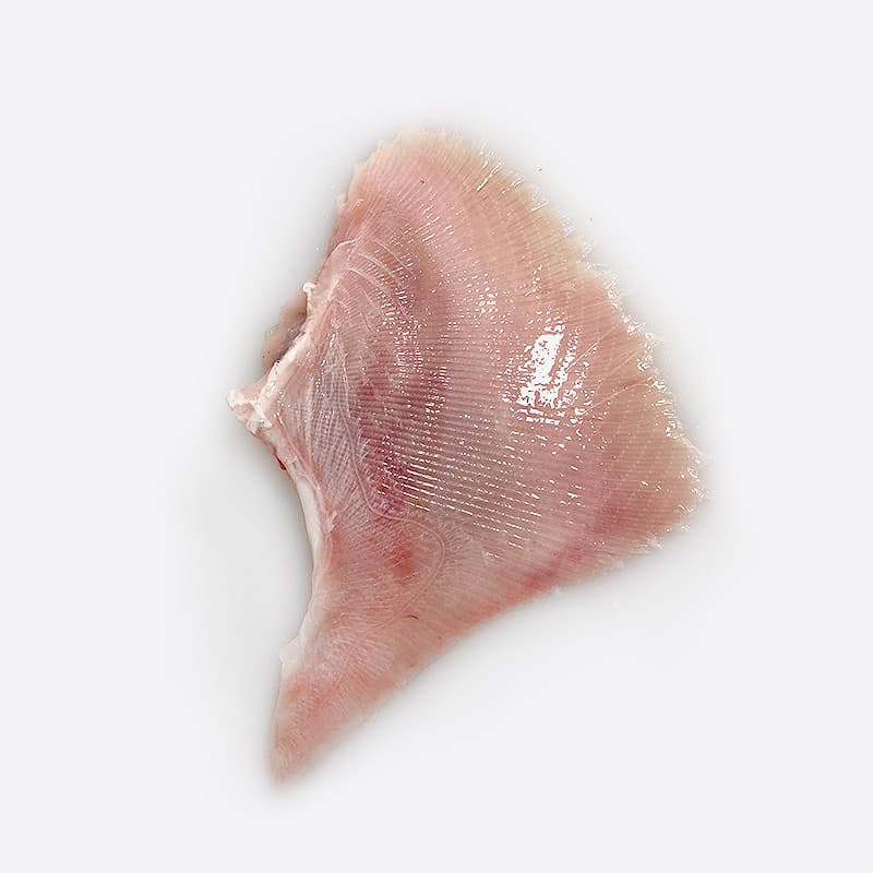 Skate Wings Skinless - Qwehli