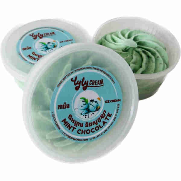 Mint Chocolate Ice Cream Cup