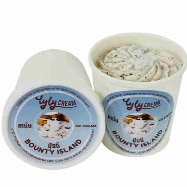 Bounty Island Ice Cream Pint