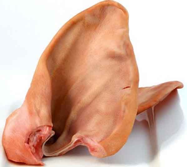 ត្រចៀកជ្រូក