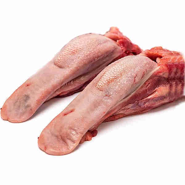 Pig Tongue