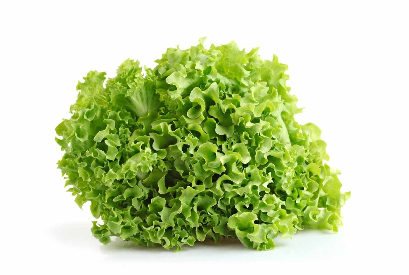 Batavia Salad