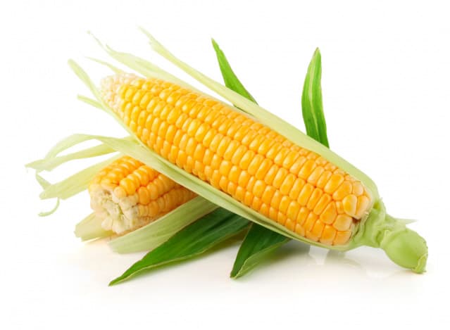 Corn (Yellow)