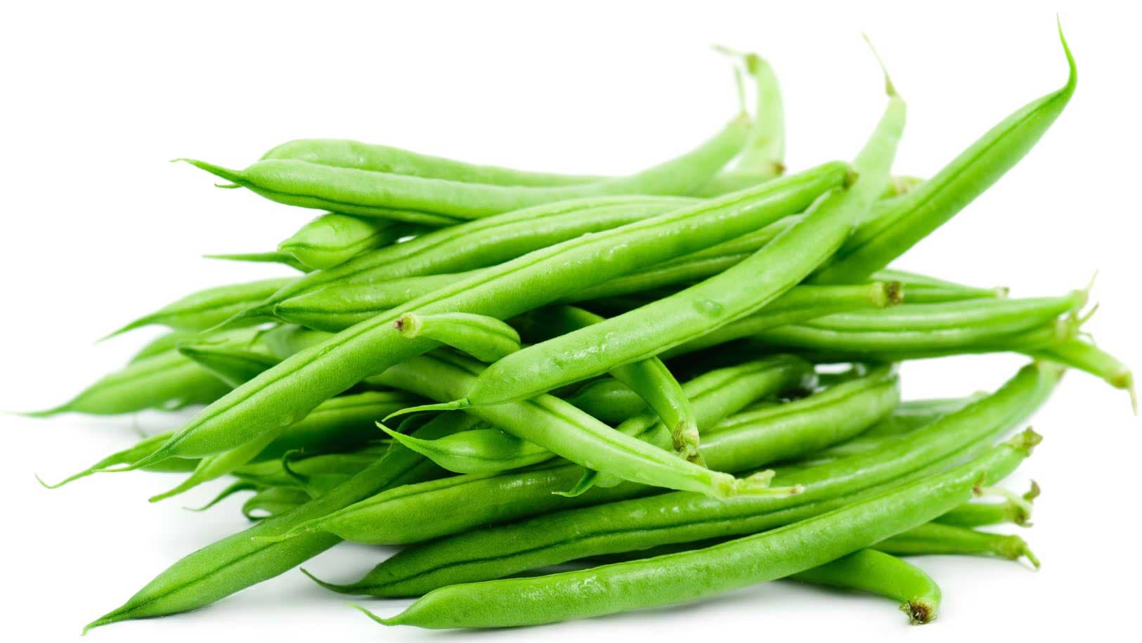 French Bean