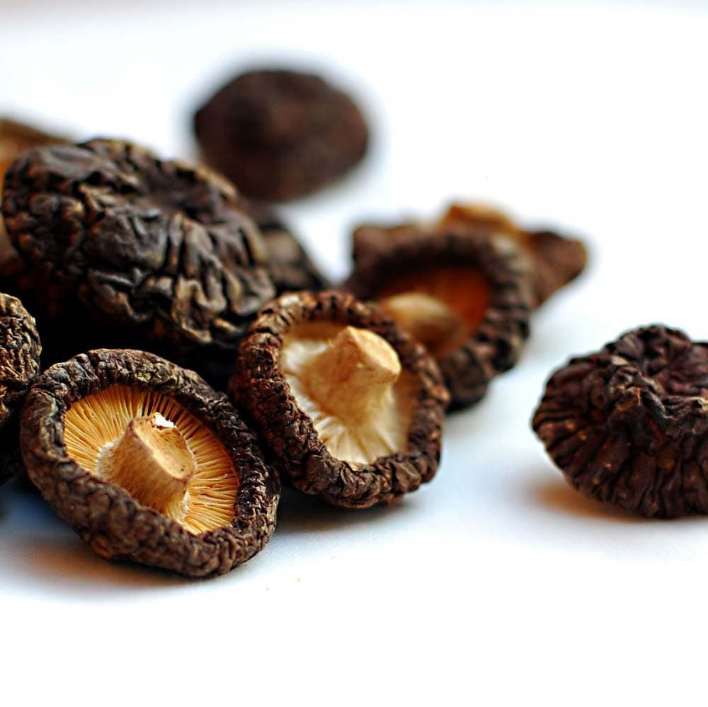 Dry Mushroom