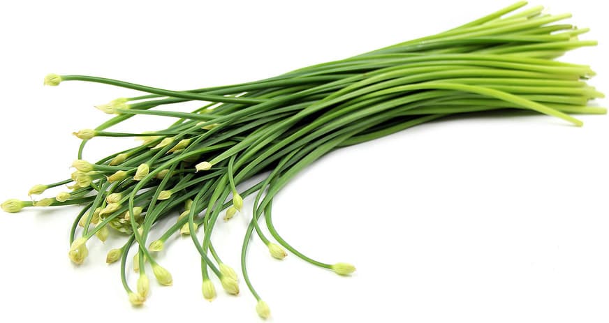 Chives Flower