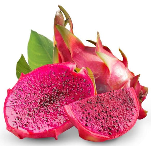 Red Dragon Fruit