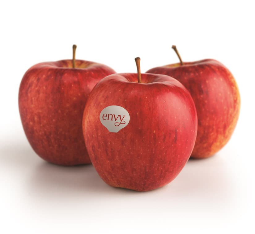 Apple Red Envy