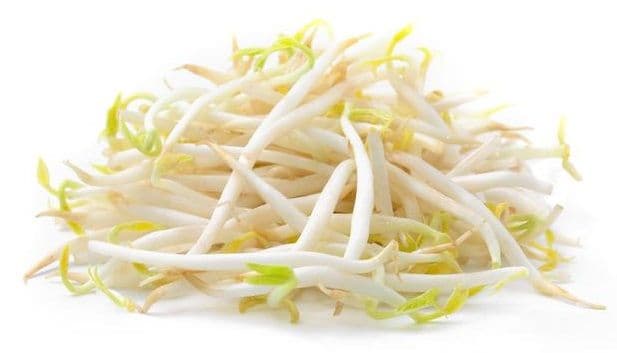 Bean Sprout