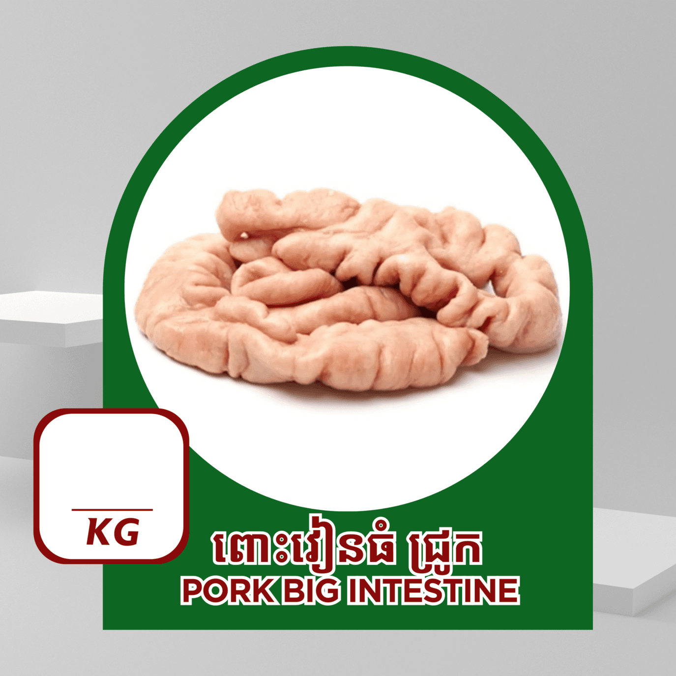 Big Intestine