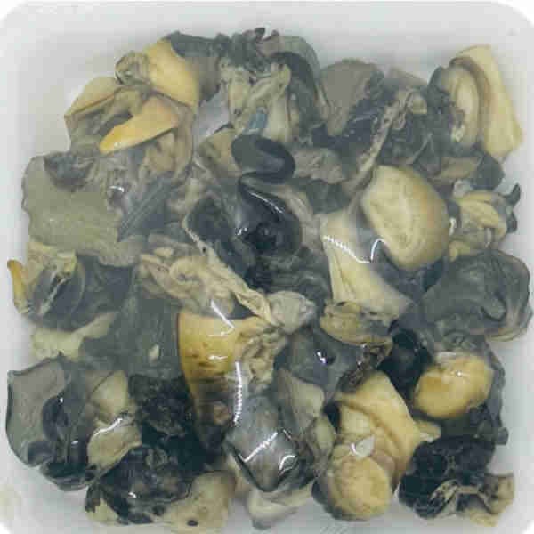 Snail Meat