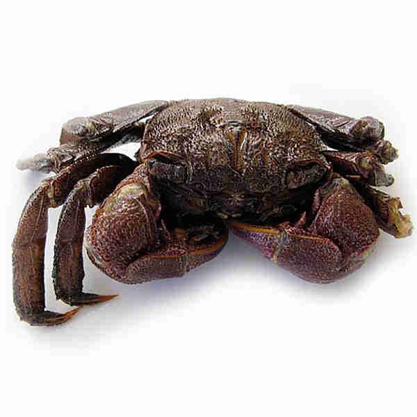 Salted Crab