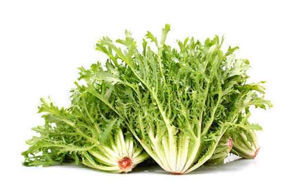 Lettuce Frisee