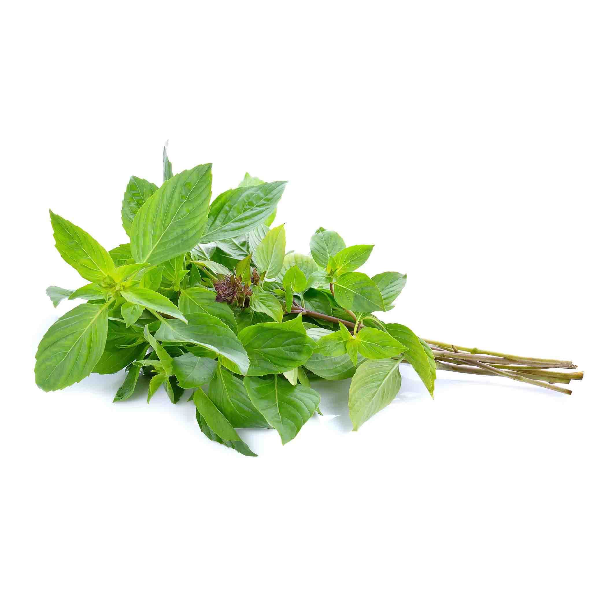Khmer Basil