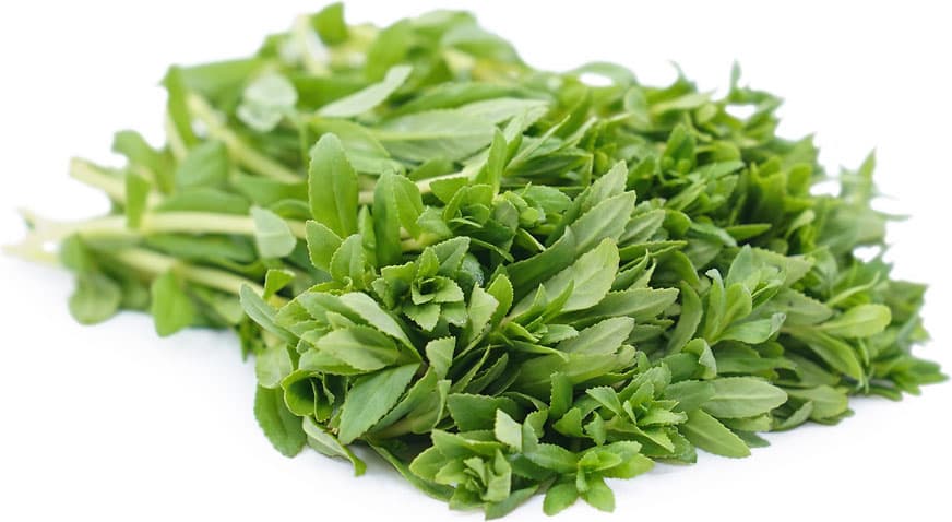Rice Pady Herbs