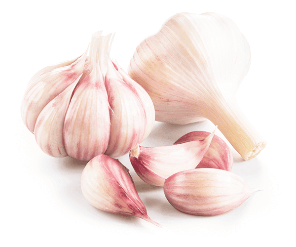 Mondolkiri Garlic