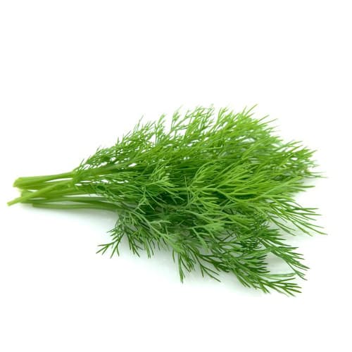 Fresh Dill