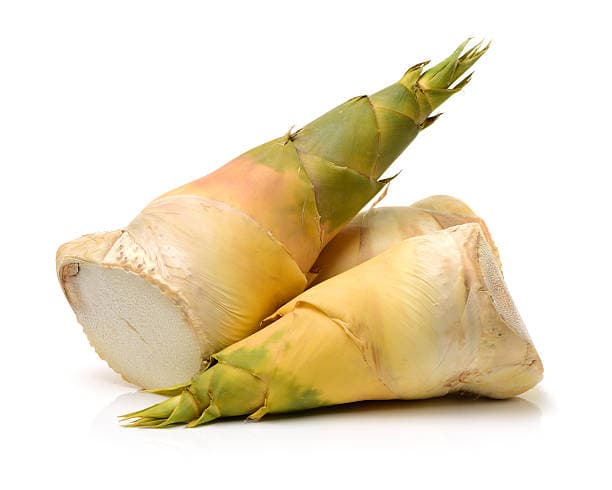 Bamboo Shoot
