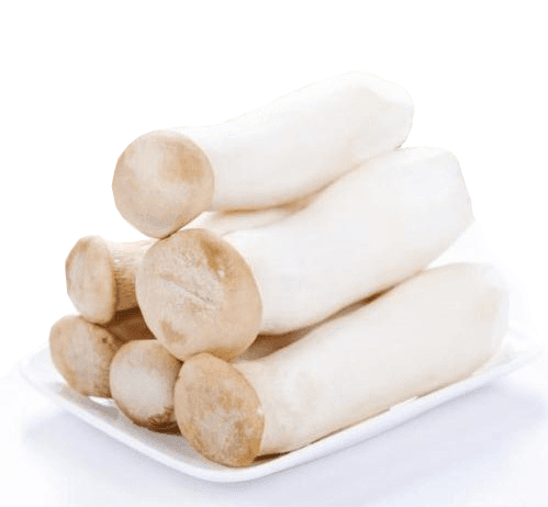 Chicken Leg Mushroom