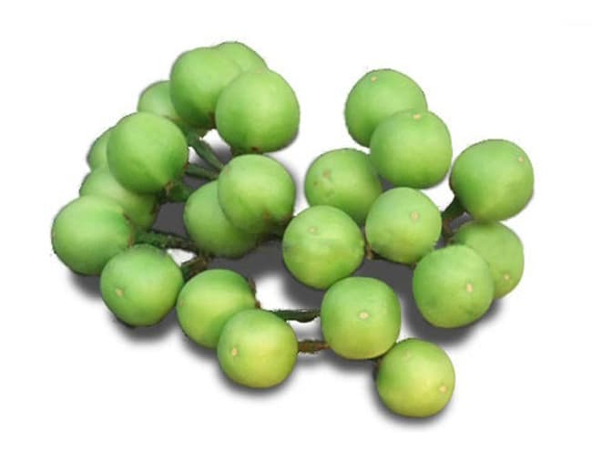 Cherry Egg Plant