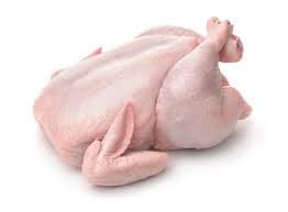 Chicken Hen
