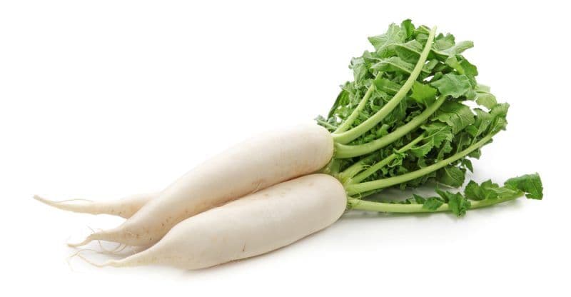 Chinese Radish